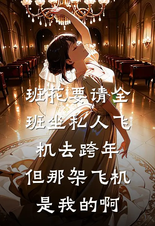 班花要请全班坐私人飞机去跨年，但那架飞机是我的啊